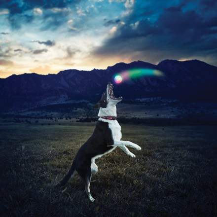 Location Image for GlowStreak Disc-O LED Ball