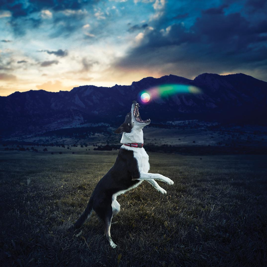 Location Image for GlowStreak Disc-O LED Ball