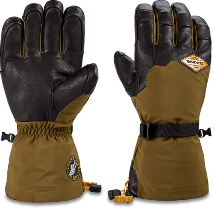 DAKINE Team Phoenix GORE-TEX Gloves - Mens