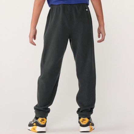REI Co-op Trailmade Fleece Pants - Kids' 2