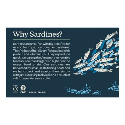 Patagonia Provisions Sardines 1
