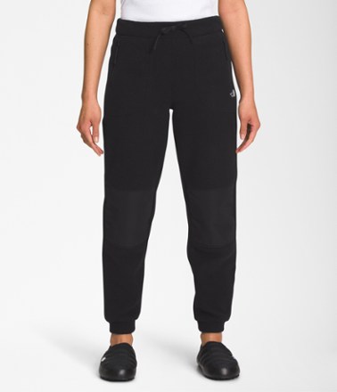 The North Face Alpine Polartec 200 Pants - Women