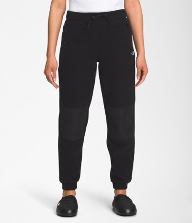 The North Face Alpine Polartec 200 Pants - Women's