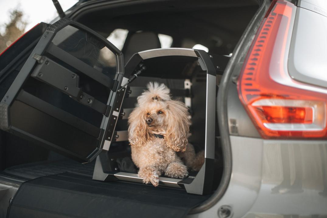 Location Image for Allax XS Dog Crate