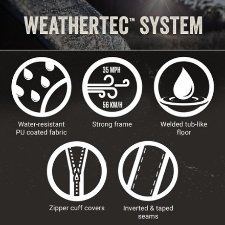 Infographic Image of color Green/Black