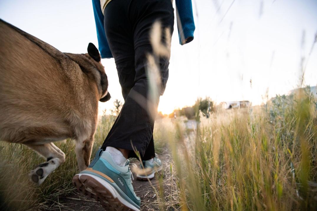 Location Image for Hyalite Low B-Dry Hiking Shoes - Women's