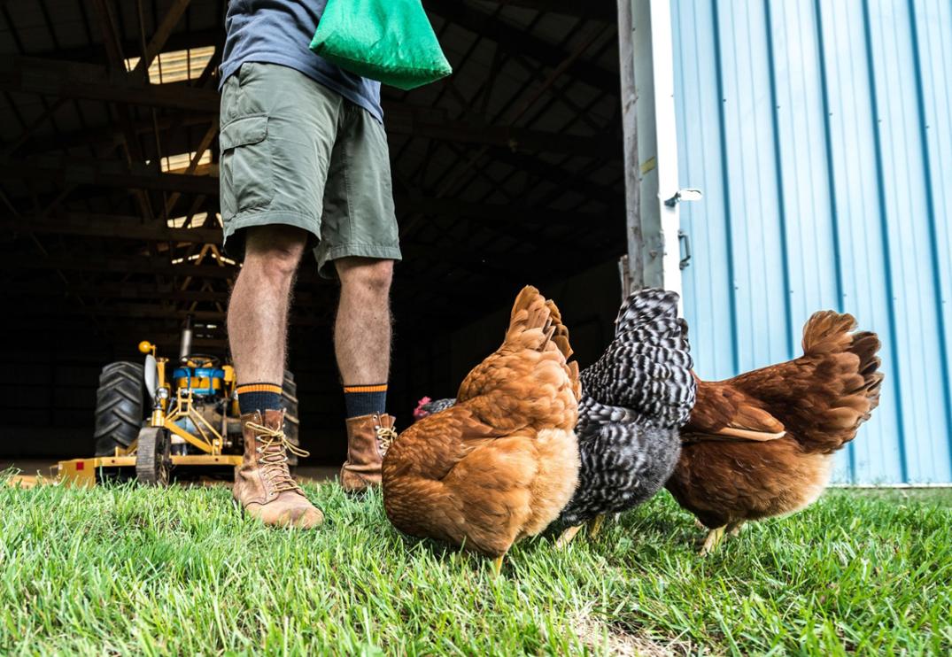 Location Image for Steely Boot Cushion Socks - Men's