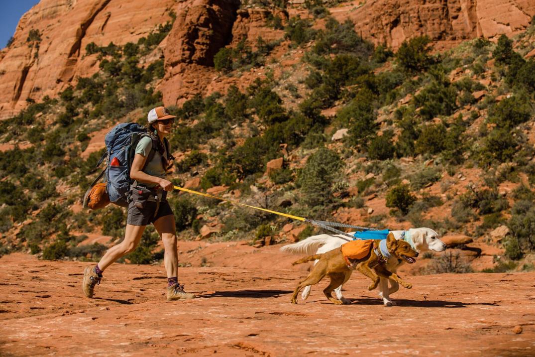 Location Image for Approach Dog Pack