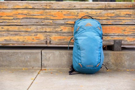 Gregory Nano 18 Pack | REI Co-op