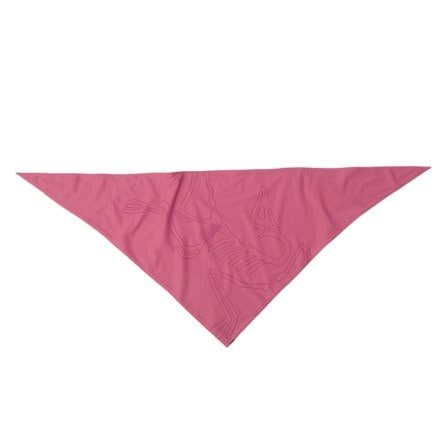 Arc'teryx Sinsolo Bandana 1