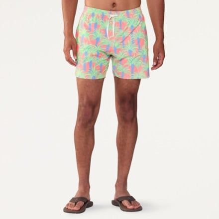 Chubbies Stretch 5.5" Lined Swim Trunks - Men's 1
