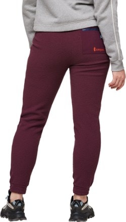 Cotopaxi Abrazo Fleece Jogger Pants - Women's 2