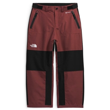 The North Face GORE-TEX Hex Pants - Men's 1