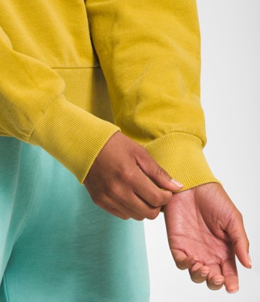 The North Face Garment Dye Mock-Neck Pullover - Women's 2