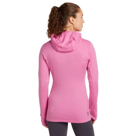 Icebreaker Merino 260 Quantum Long-Sleeve Zip Hoodie - Women's 1