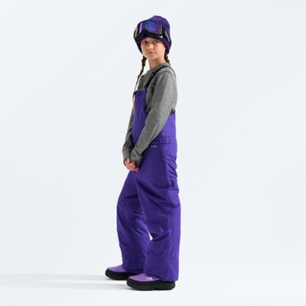 The North Face Freedom Insulated Bib Snow Pants 3