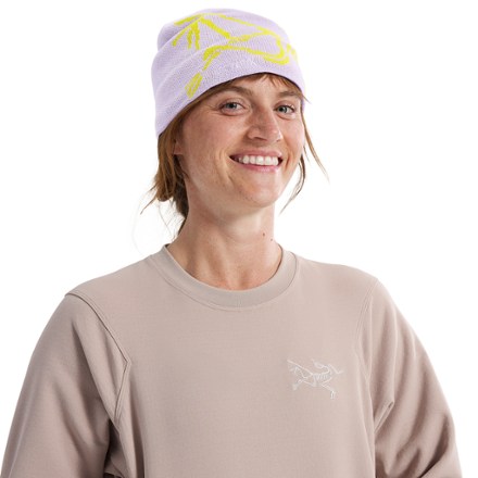 Arc'teryx Bird Head Toque Beanie 4