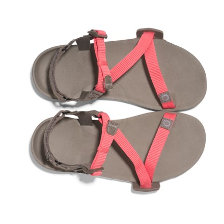 Xero Shoes Z-Trail EV Sandals - Women's 5