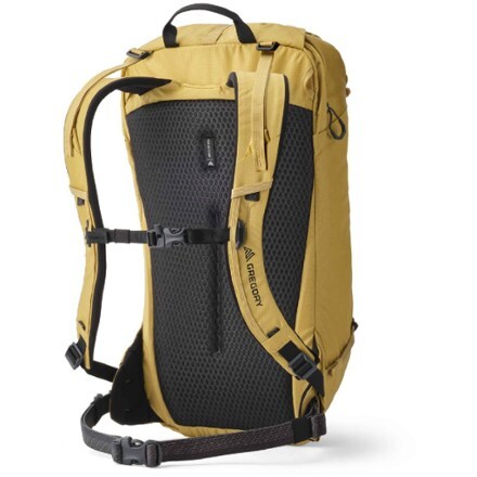 Gregory Alpinisto 25 Pack 1