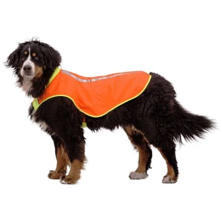 Ruffwear Lumenglow High-Vis Dog Vest 5