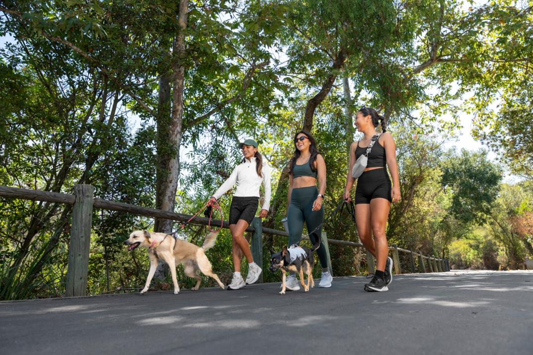 Location Image for Hidden Comfort Quarter Socks