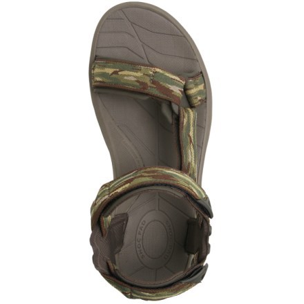 Top View (Glacier Olive)