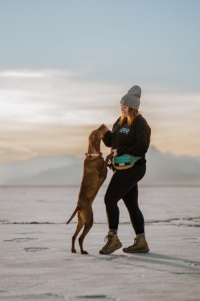 Location Image for Dog Walking Utility Pack