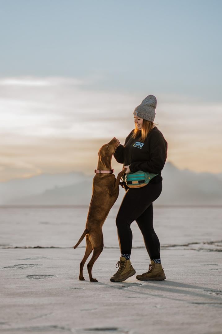 Location Image for Dog Walking Utility Pack