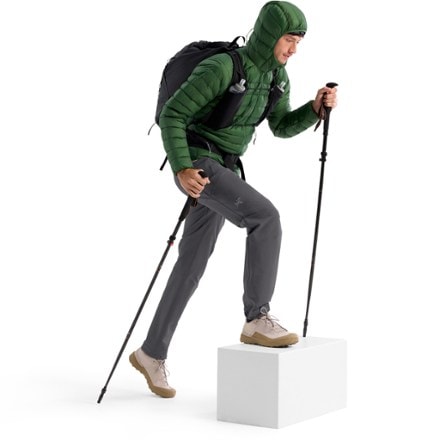 Arc'teryx Cerium Down Hoody - Men's 3