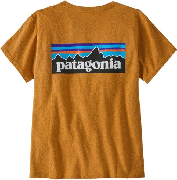 Product Image of color Dried Mango