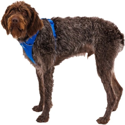 Ruffwear Front Range Dog Harness 5