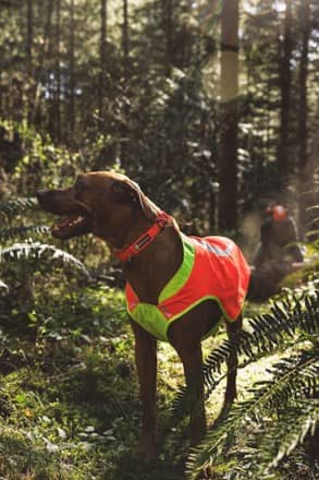 Ruffwear Lumenglow High-Vis Dog Vest 9