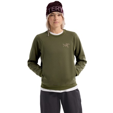 Arc'teryx Aestas Crew Pullover - Women's | REI Co-op