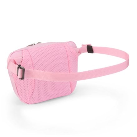 Product Image of color Pineberry