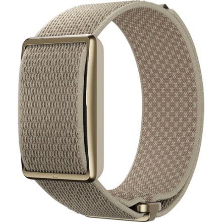 Polar Loop 0