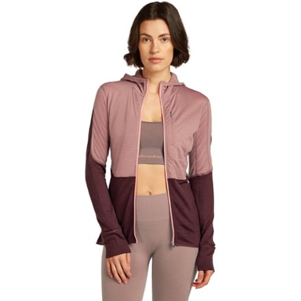 Icebreaker Merino Blend 200 RealFleece Descender Long-Sleeve Zip Hoodie - Women's 0