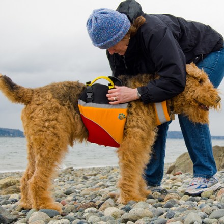 ventilated mesh across the back