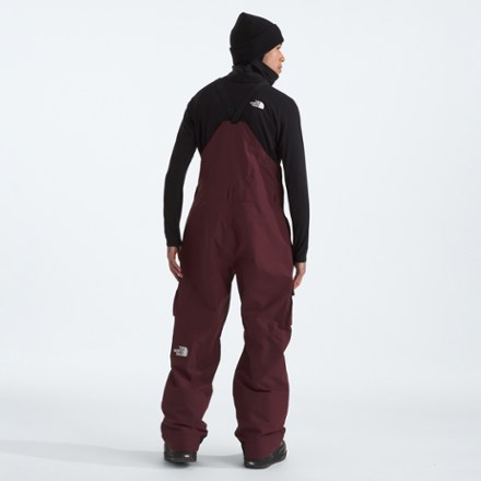 ノースフェイス L/R PRINTED DRAGLINE BIBS ビブ パンツ The North Face Dragline Bib Pant - Women's - Clothing
