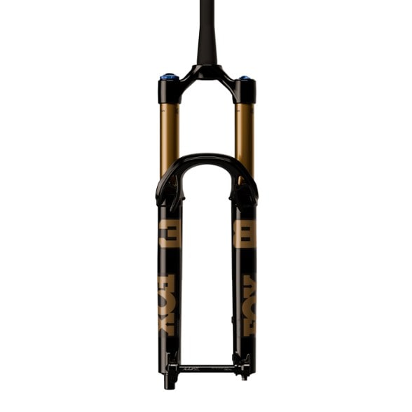 Product Image of color Black