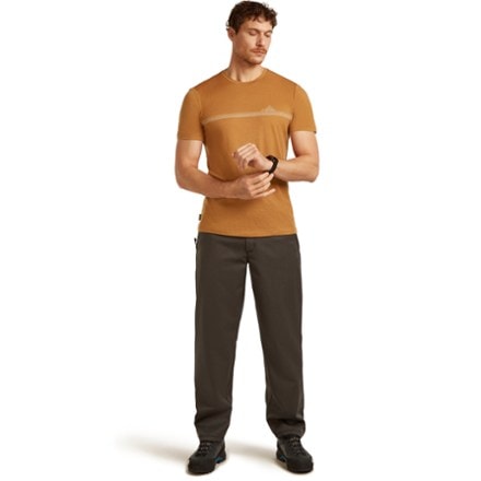 Icebreaker Merino 150 Tech Lite Range Stripes T-Shirt - Men's 6