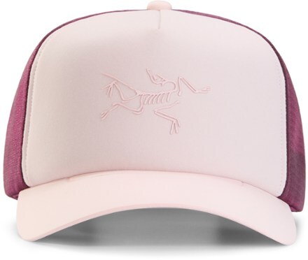 Arc'teryx Men's Hats and Headwear | REI 