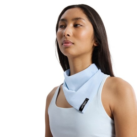 Arc'teryx Sinsolo Bandana 7