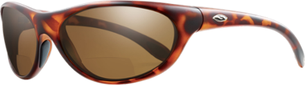 smith bifocal sunglasses polarized
