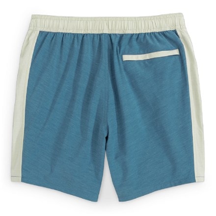 Free Fly Palmera Swim Trunks - Men's 3