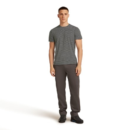 Icebreaker Merino 150 Tech Lite T-Shirt - Men's 3