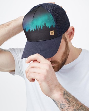 tentree elevation hat
