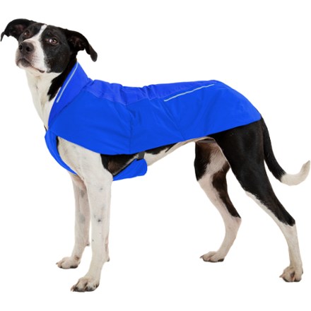Dog Clothes Jackets Vests Boots Goggles REI Co op