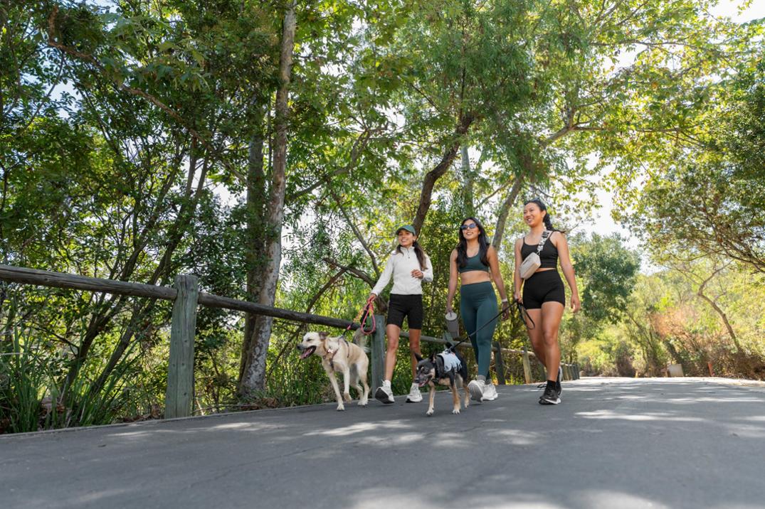 Location Image for Hidden Comfort Quarter Socks