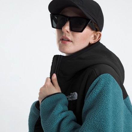 The North Face Retro Denali Hoodie - Women's 6
