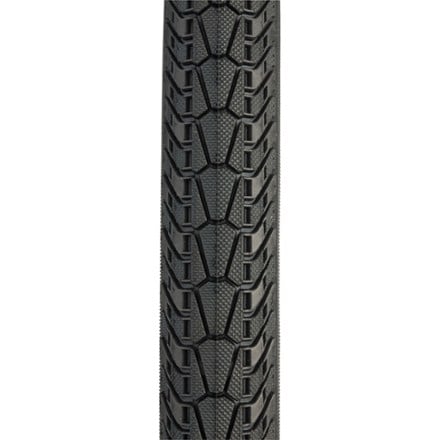 Panaracer Pasela ProTite Tire - Wire Bead 1